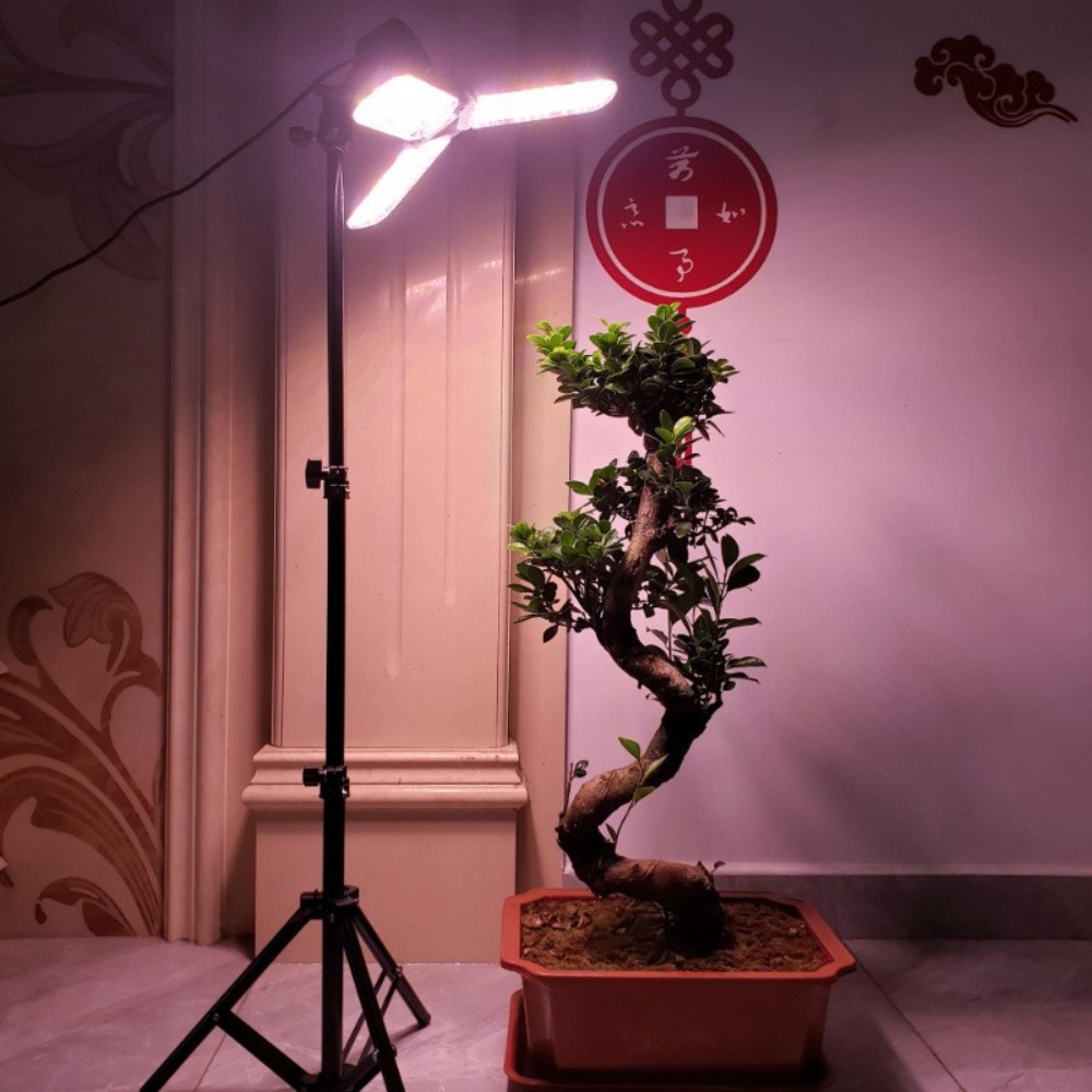 Ampul Standı 2M, Şemsiye Lamba - Photography Umbrella Lights incelemesi ve fiyatı